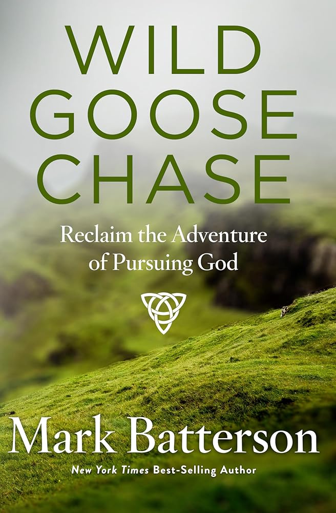 Wild Goose Chase: Reclaim the Adventure of Pursuing God cover image