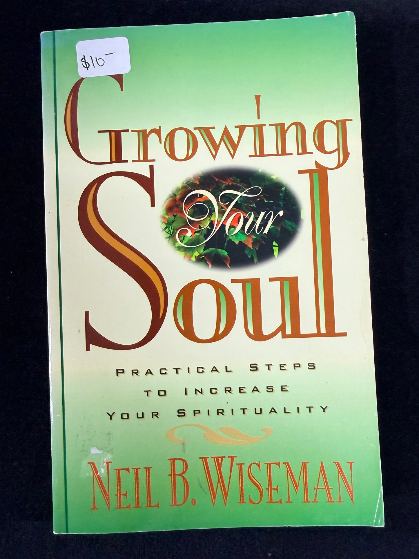 Growing Your Soul : Practical Steps to Increase Your Spirituality by Neil B. Wiseman