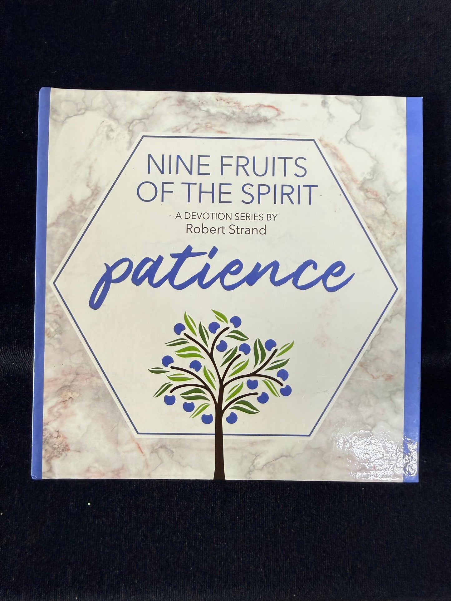 Patience (Nine Fruits of the Spirit) by Robert Strand