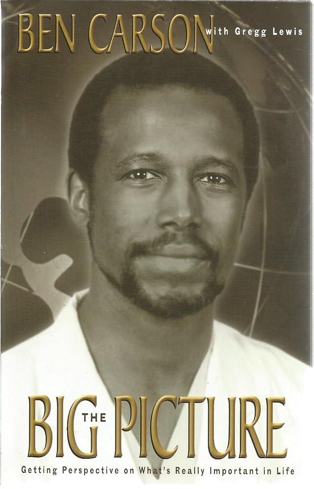 The Big Picture cover image