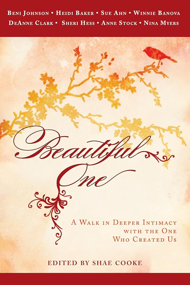 Beautiful One: A Walk In Deeper Intimacy with the One Who Created Us cover image
