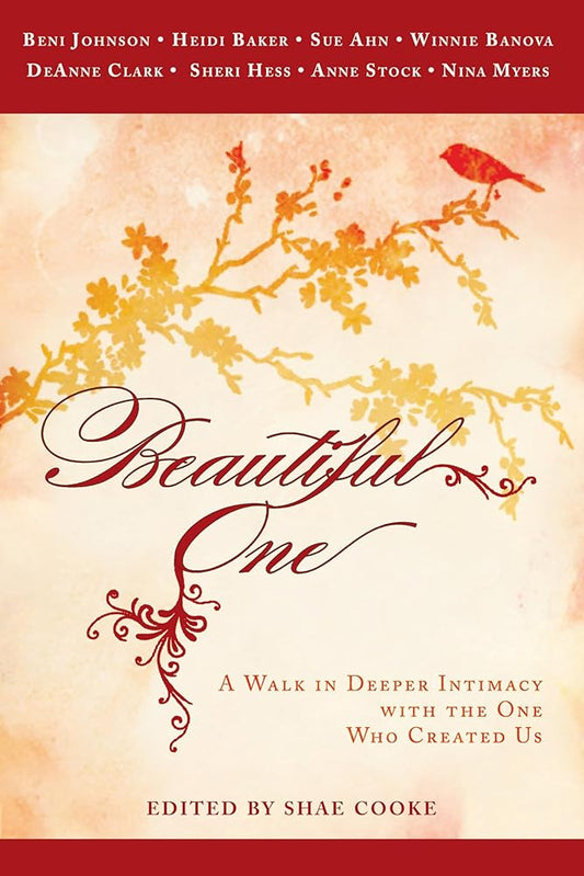 Beautiful One: A Walk In Deeper Intimacy with the One Who Created Us cover image