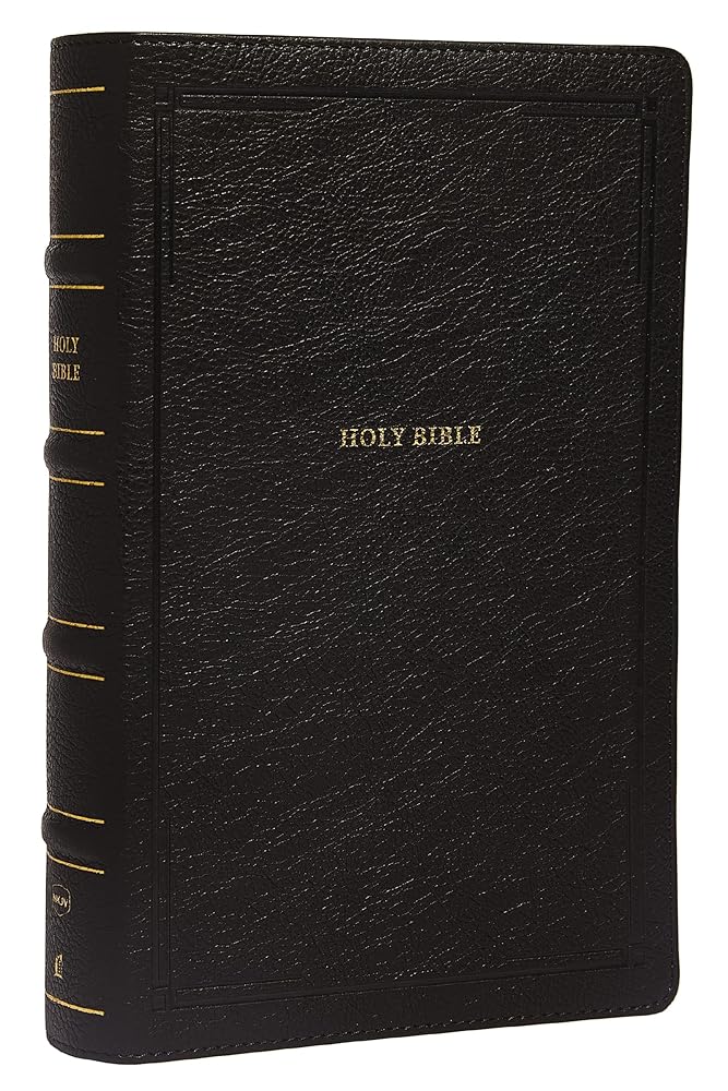 NKJV, End-of-Verse Reference Bible, Personal Size Large Print, Leathersoft, Black, Red Letter, Comfort Print: Holy Bible, New King James Version cover image