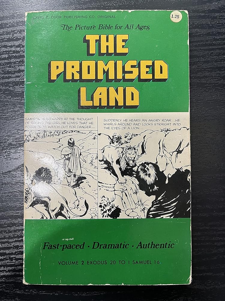 The Promised Land: Exodus 20:1-1 Samuel 16:19 (Her the Picture Bible for All Ages) cover image