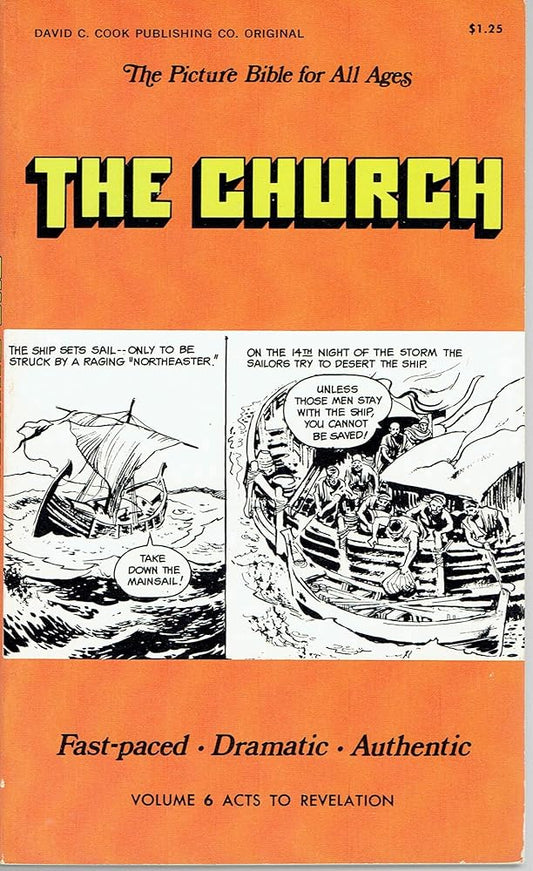 The Church: Acts-revelation (Picture Bible for All Ages, Vol. 6) cover image