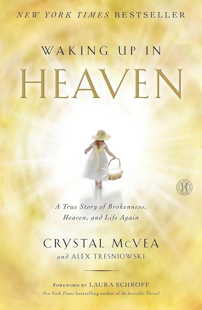 Waking Up in Heaven: A True Story of Brokenness, Heaven, and Life Again cover image