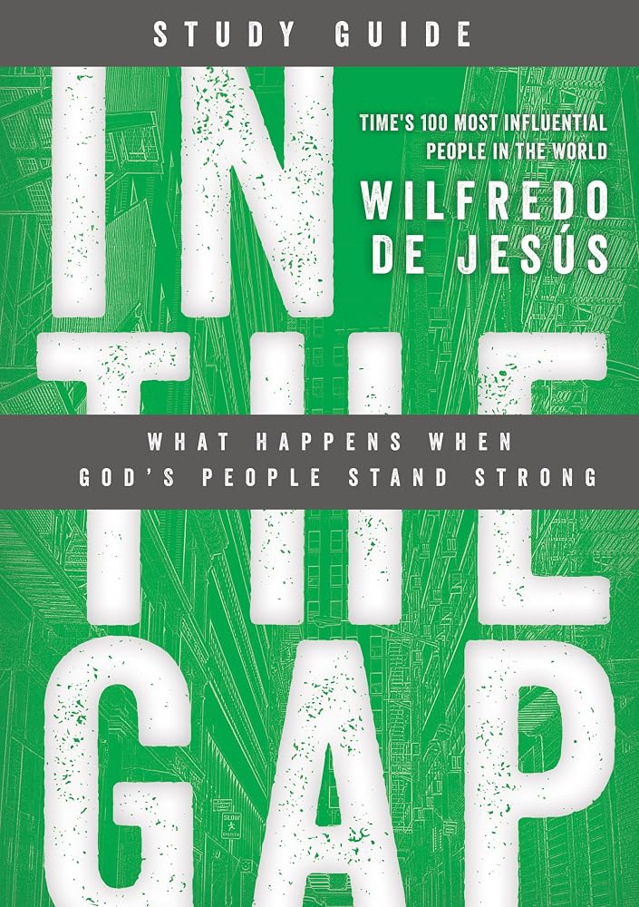 In the Gap cover image