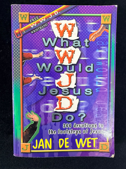What Would Jesus Do? by Jan de Wet