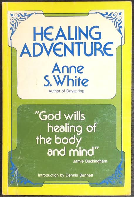 Healing adventure by Anne S White